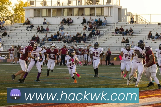 九游体育app官网登录发展历程